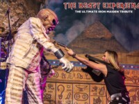 Beast Experience (1)