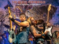 Beast Experience (25)