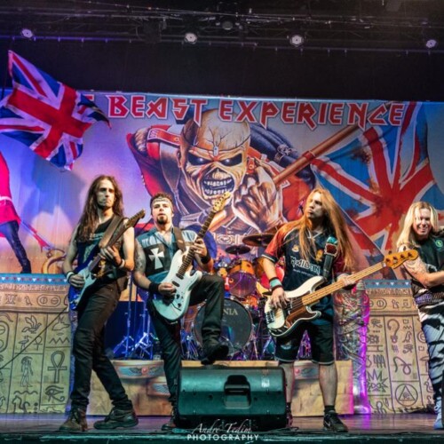 Beast Experience (27)