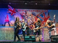 Beast Experience (27)