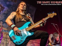 Beast Experience (37)