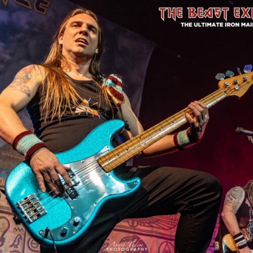 Beast Experience (37)