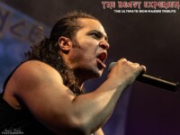 Beast Experience (39)