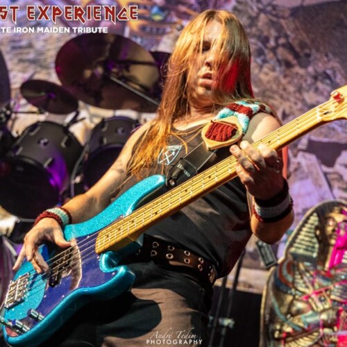 Beast Experience (43)