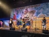 Beast Experience (51)