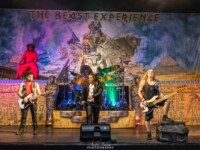 Beast Experience (54)