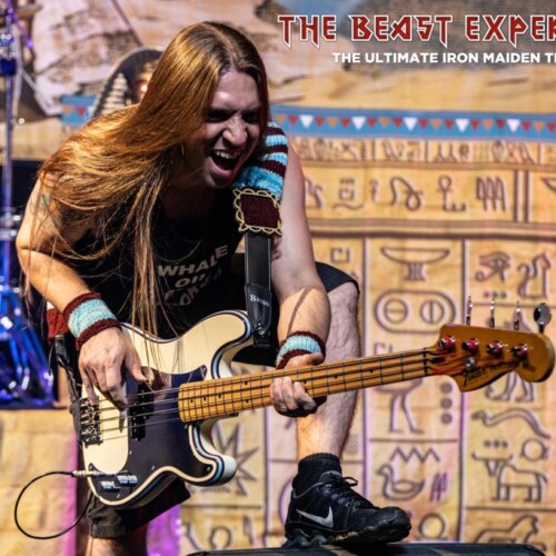 Beast Experience (55)