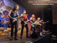 Beast Experience (57)