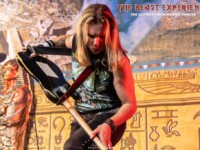 Beast Experience (58)