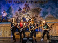 Beast Experience (63)