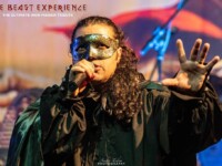 Beast Experience (65)