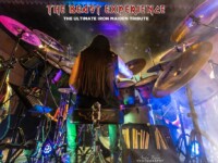 Beast Experience (66)